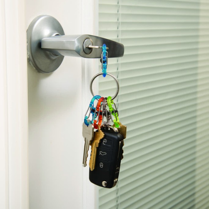 Nite Ize KeyRing Locker S-Biner Plastic KRGP-11-R3